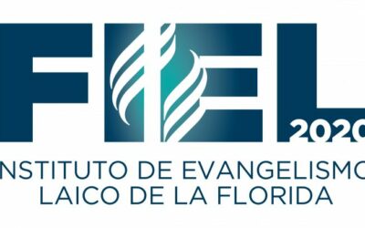FIEL 2020 – Boletines